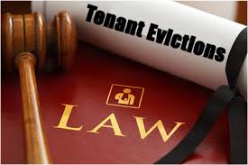 Law file with judge hammer and tonant evictions paper